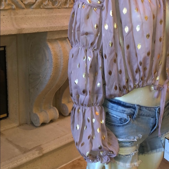 Chiffon DustyPink Polka Dot Top W/ Lantern Sleeves - Picture 4 of 6